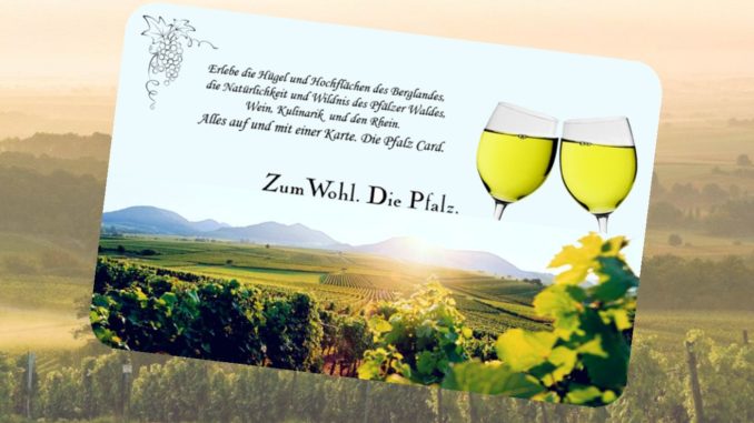 Pfalzcard_Dummie-Bild