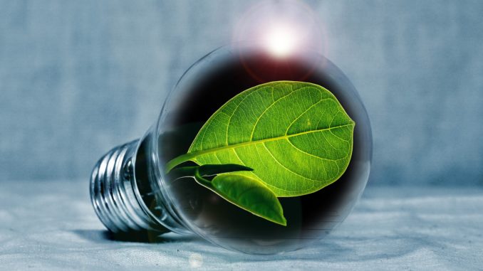 light-bulb-2631864_1920
