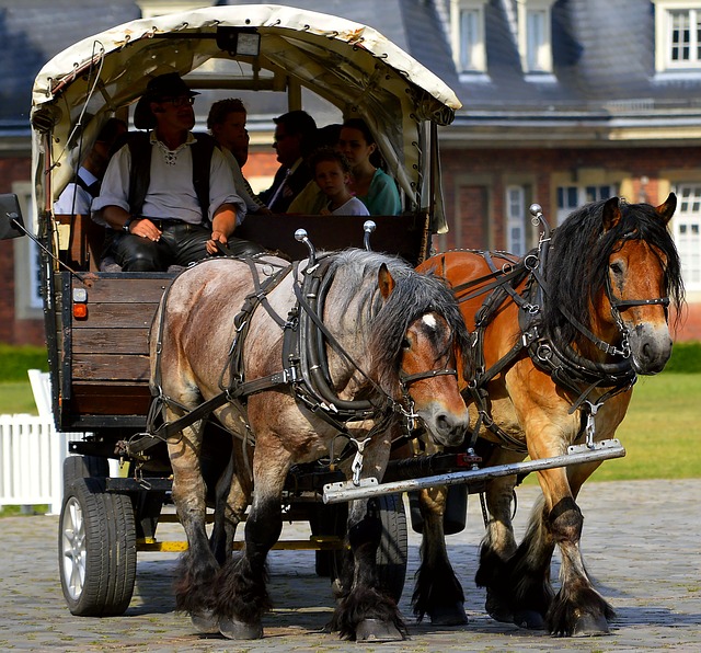 horse-drawn-carriage-2383628_640