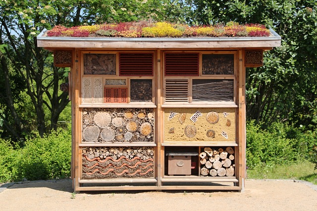 insect-house-598354_640